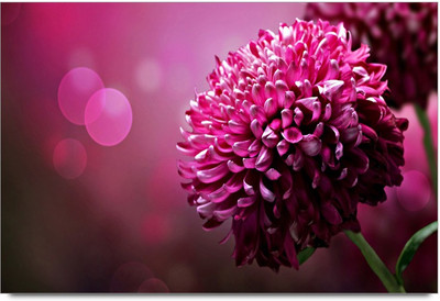 34% OFF on 3d Flawers 3 Paper Print