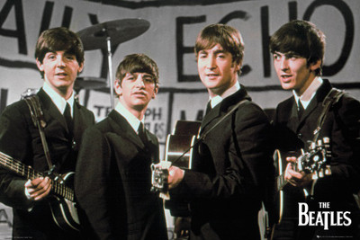 12% OFF on The Beatles Daily Echo Official Paper Print