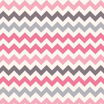 Minky Chevron 12