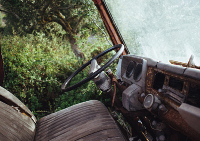 35% OFF on Jungle Car Interior Fine Art Print