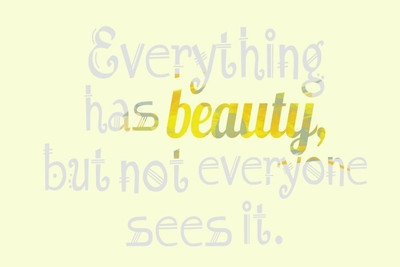 70% OFF on Everything Has Beauty Poster131610 Photographic Paper