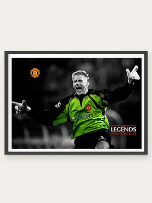 70% OFF on Peter Schmeichel 