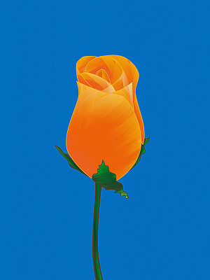 50% OFF on Rose Bud Paper Print 50% OFF on Rose Bud Paper Print