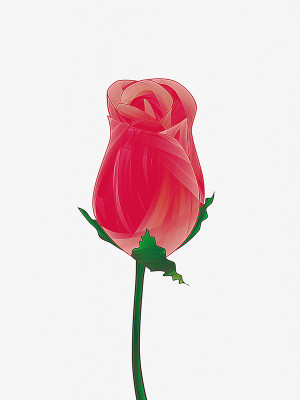 50% OFF on Rose Bud Canvas Art 50% OFF on Rose Bud Canvas Art