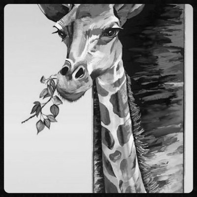 33% OFF on Giraffe Fine Art Print 33% OFF on Giraffe Fine Art Print
