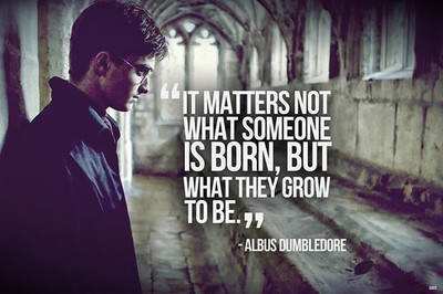 84% OFF on Harry Potter Quotes Photographic Paper 84% OFF on Harry Potter Quotes Photographic Paper