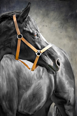 89% OFF on Horse Painting Canvas Art