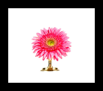 50% OFF on Gerbera in Paper Print