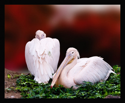 50% OFF on Together 01 Canvas Art