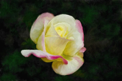 50% OFF on Colourful Flowers Canvas Art