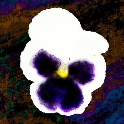 50% OFF on Colourful Flowers Paper Print