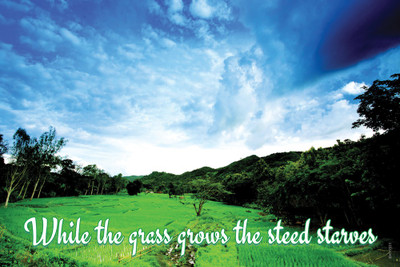 16% OFF on Motivational Quote With Beauty Of Nature Paper Print 16% OFF on Motivational Quote With Beauty Of Nature Paper Print