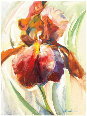 Montage - Colors Of Iris II Fine Art Print