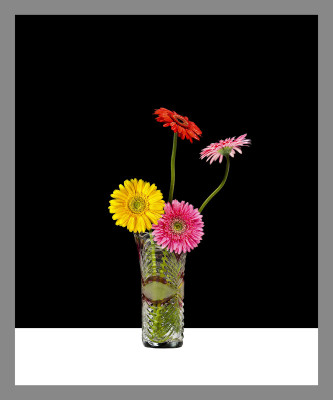 50% OFF on Gerbera in Paper Print