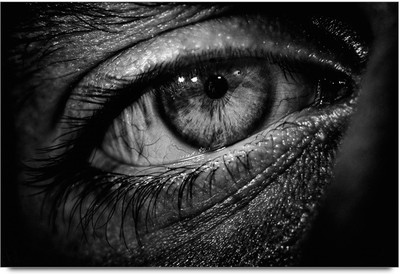 75% OFF on Amy Cute Snow Fox And Rat Paper Print 75% OFF on Amy Cute Snow Fox And Rat Paper Print