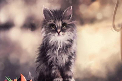 62% OFF on Mysterious Cat Art Poster Photographic Paper