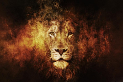 62% OFF on Lion Abstract Poster Photographic Paper