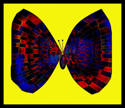 50% OFF on The butterfly Paper Print