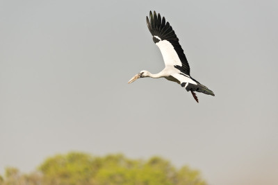 50% OFF on In Flight Paper Print