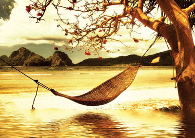 47% OFF on Hammock Paper Print 47% OFF on Hammock Paper Print