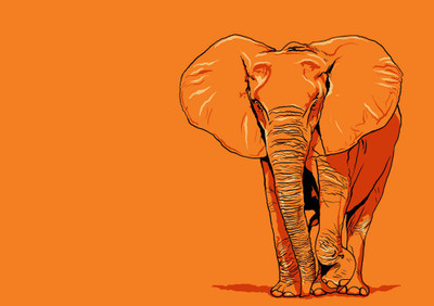 52% OFF on Elephant Fine Art Print