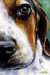 Dog Eyed Fine Art Print