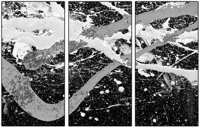 50% OFF on PixTopper Triptych 02 Canvas Art 50% OFF on PixTopper Triptych 02 Canvas Art