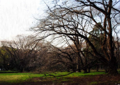 33% OFF on Trees Paper Print