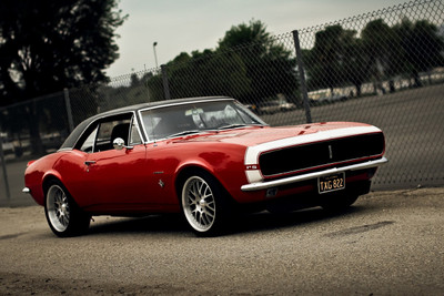 50% OFF on Camaro Paper Print 50% OFF on Camaro Paper Print