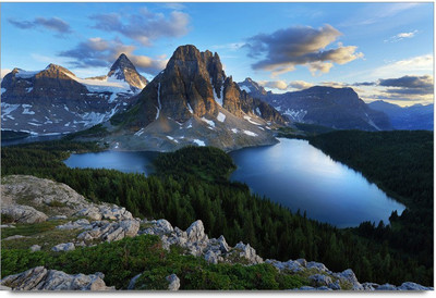 34% OFF on Amy Juicy Sweet Orange Paper Print 34% OFF on Amy Juicy Sweet Orange Paper Print