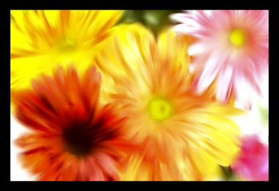 50% OFF on Dreamy Canvas Art