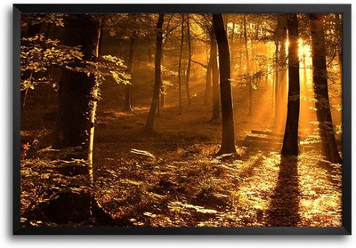 74% OFF on Nature Sunlight Fp00003556 Framed Photographic Paper