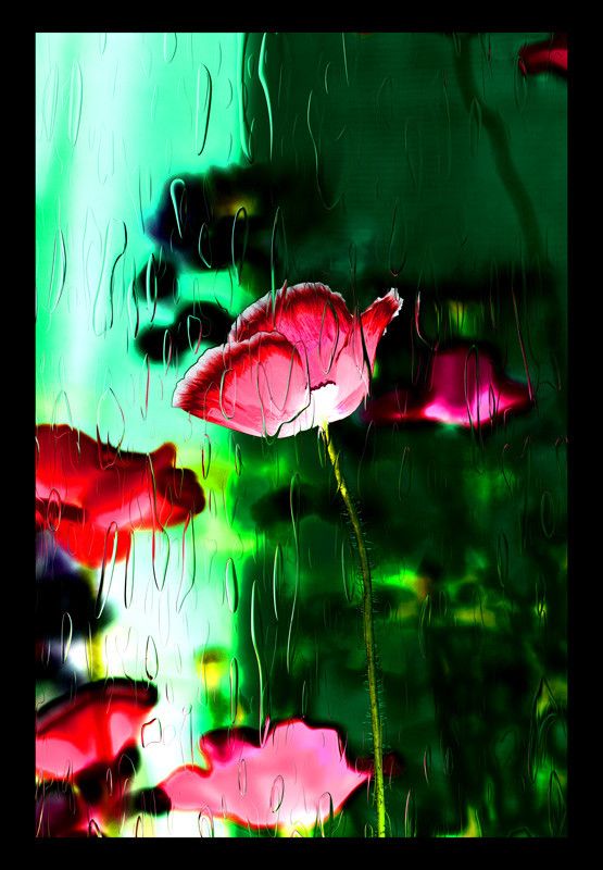 50% OFF on Poppies 01 Canvas Art