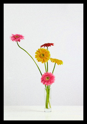 50% OFF on Gerbera in Paper Print 50% OFF on Gerbera in Paper Print