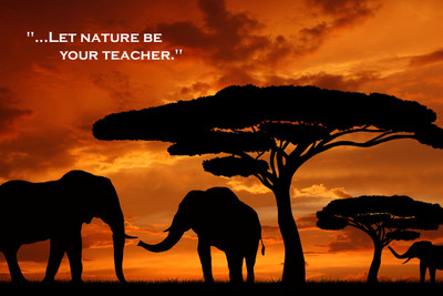 53% OFF on Motivational Quotes Paper Print