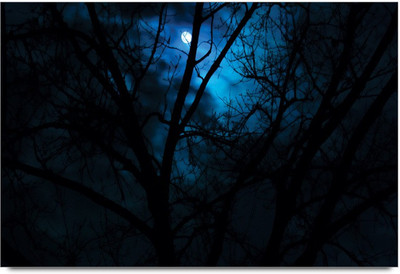 34% OFF on Amy Dark Night Moon Light Paper Print 34% OFF on Amy Dark Night Moon Light Paper Print