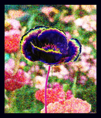 50% OFF on Poppies 04 Canvas Art