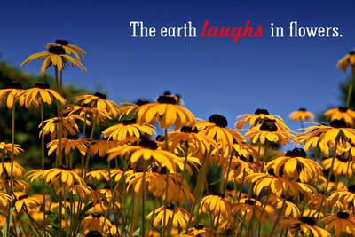 53% OFF on Motivational Quotes Paper Print