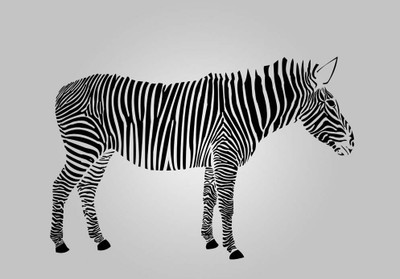 33% OFF on Zebra Fine Art Print