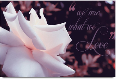 34% OFF on White Rose Paper Print 34% OFF on White Rose Paper Print