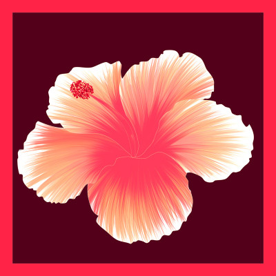 50% OFF on Painted Hibiscus Canvas Art