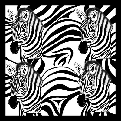 50% OFF on Four Zebras Paper Print 50% OFF on Four Zebras Paper Print