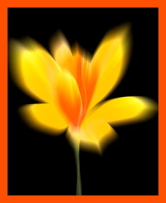 50% OFF on Divine Magnolias Canvas Art