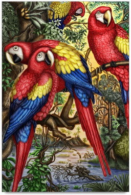 34% OFF on Amy Beautiful Parrot Multicolor Graceful 3D Poster