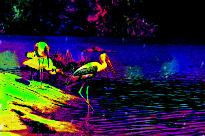 50% OFF on Painted Stork Paper Print