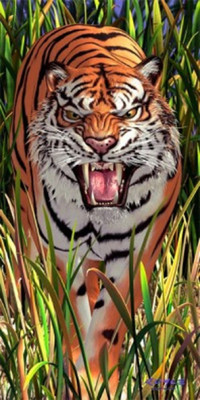 57% OFF on Tiger Trouble 3D Poster 57% OFF on Tiger Trouble 3D Poster
