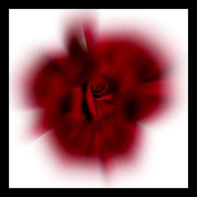 50% OFF on Divine Roses Canvas Art