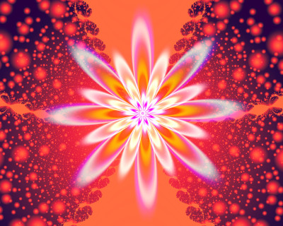 50% OFF on Fractal flowers Canvas Art