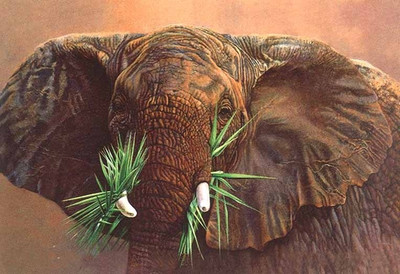 56% OFF on Elephant Fine Art Print
