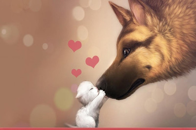 62% OFF on Cat And Dog Love Poster Photographic Paper 62% OFF on Cat And Dog Love Poster Photographic Paper